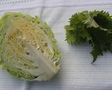 新キャベツの塩麹サラダ青じそ風味作り方3写真