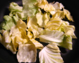 早生キャベツと豚しゃぶの簡単蒸し作り方1写真