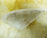 ヘルシー！めかじきと野菜のレンジ蒸し作り方3写真