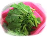 菜の花の天ぷら♪作り方1写真