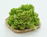 児菜(あ~さい)のキムチ漬け作り方1写真