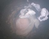 チーズリゾット作り方4写真
