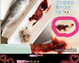 春告魚♬ニシンの下処理♬尾頭付き➕️寄生虫作り方39写真