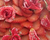 Lovery strawberry rose cakes作り方3写真