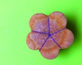 梅人参のカット 御節やお雑煮に作り方1写真