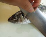 基本の三枚おろし（今回は鯵）作り方1写真