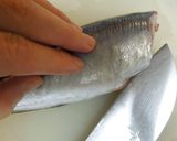 基本の三枚おろし（今回は鯵）作り方2写真