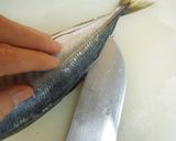 基本の三枚おろし（今回は鯵）作り方3写真