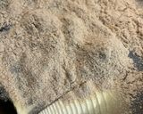 たけのこ　下処理　覚書作り方5写真