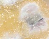 タラのおろしポン酢がけ作り方3写真