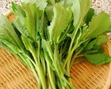 のらぼう菜の煮浸し作り方3写真