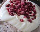 チョコパブロバ作り方10写真