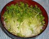 パパのアジ蒲焼丼（パートⅡ)作り方4写真