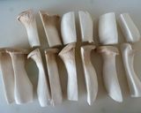 レンジで簡単美味✿エリンギの塩麹豚巻き作り方2写真
