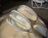 苺のケーキ作り方4写真