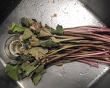 ツワブキの手抜きつくだ煮作り方1写真