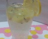 キウイフルーツの果実酒作り方4写真