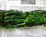 簡単、激旨！別所の筍と菜花の昆布じめ作り方4写真