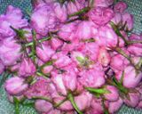 桜の花の塩漬け作り方1写真