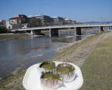 抹茶の も〰〰〰〰〰〰〰っち餅(@_@。作り方3写真