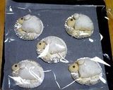 ボールで簡単にパン捏ね＆発酵（覚書）作り方10写真