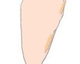 ササミのチーズフライ作り方3写真