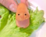 ＊キャラ弁に✿簡単カバさん＊作り方5写真