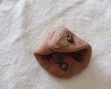 簡単まんまるチョコパン作り方3写真