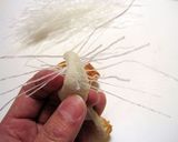 宇宙生物？チクサーメ作り方4写真