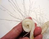 宇宙生物？チクサーメ作り方6写真
