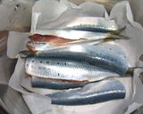圧力鍋で　鰯の煮付け作り方1写真
