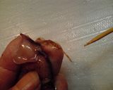 ほたるいか・・・軟骨の取り方作り方3写真