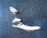 煮干しのガーリック炒め作り方1写真