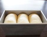 自家製酵母でごまの山食作り方10写真