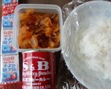 ベビーチーズでカレー風味のおにぎりランチ作り方1写真