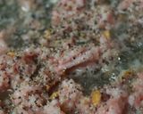 スタミナおくら丼２作り方9写真