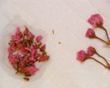 ❀SAKURA❀リゾット作り方1写真