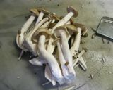 ■旨味たっぷり！魚介のトマトスープ仕立て作り方8写真