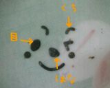 キャラ弁*水族館♪ラッコさんのお弁当作り方3写真
