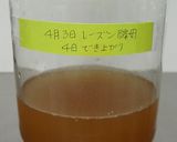 1度作れば簡単レーズン酵母☆作り方9写真