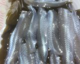 魚 鱚 刺身 キスのさばき方と昆布酒締め作り方8写真
