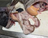 クロソイの塩昆布香味和え作り方2写真