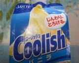 クーリッシュバニラのデザート作り方1写真