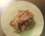 モモ、餃子の皮で出来ちゃう新玉ねぎ入り作り方2写真