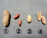 ピーナッツとチョコのソフトクッキー作り方1写真
