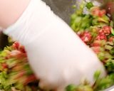 キャベツたっぷり!メンチカツ作り方3写真