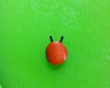 キャラ弁☆てんとう虫のウインナー作り方8写真