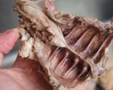 海南鶏飯（シンガポールチキンライス）作り方3写真