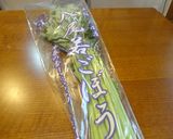 簡単・春の味♪若ごぼうのきんぴら♪作り方1写真
