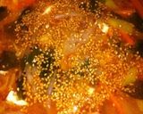 炒りごまたっぷり韓国風スープ作り方3写真